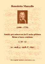 Náhled titulu - Marcello Benedetto (1686 - 1739) - Sonáty pro zobcovou (in F) nebo příčnou flétnu a basso continuo č. 10 - 12