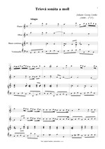 Náhled not [1] - Linike Johann Georg (1680 - 1737) - Triová sonáta a moll