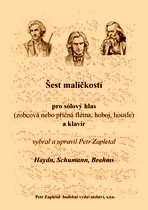 Náhled titulu - Různí - Šest maličkostí (úprava Petr Zapletal)