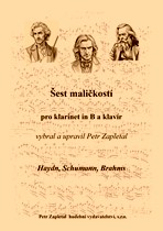 Náhled titulu - Různí - Šest maličkostí (úprava Petr Zapletal)