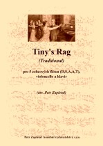 Náhled titulu - Zapletal Petr (*1965) - Tinys Rag (Traditional)