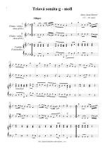 Náhled not [1] - Saint Martin Alexis (17. - 18. stol.) - Triová sonáta g -moll