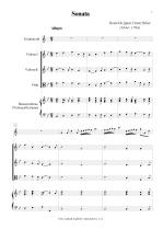 Náhled not [1] - Biber Heinrich Ignaz Franz (1644 - 1704) - Sonata - transpozice