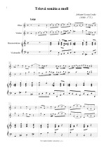 Náhled not [1] - Linike Johann Georg (1680 - 1737) - Triová sonáta a moll