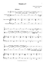 Náhled not [1] - Heinichen Johann David (1683 - 1729) - Sonata a 3