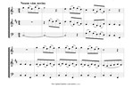 Náhled not [4] - Zapletal Petr (*1965) - Vánoční koledy
