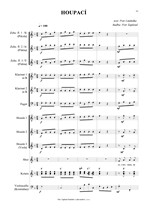 Náhled not [3] - Zapletal Petr (*1965) - Kočky